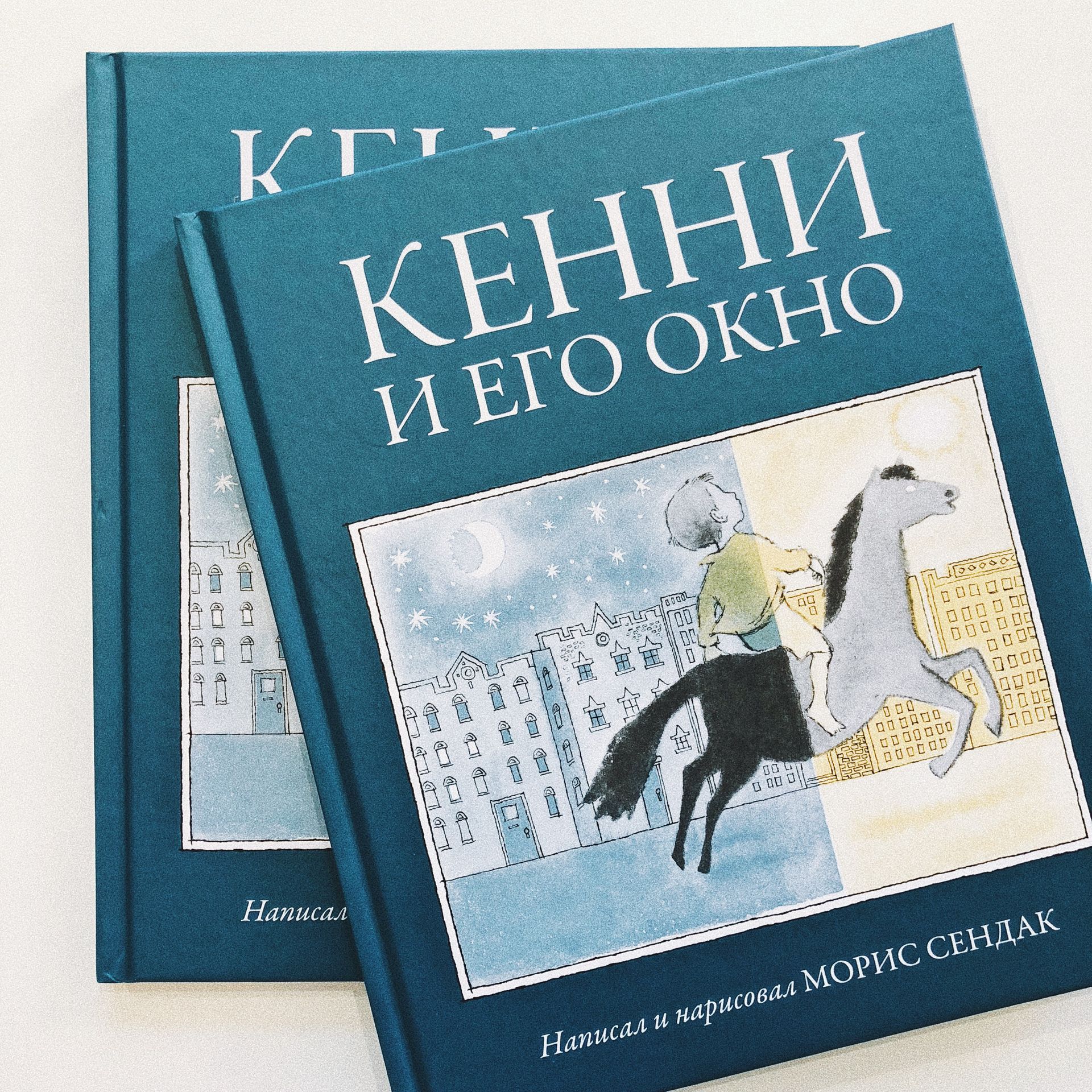 Кенни и его окно - Vilki Books