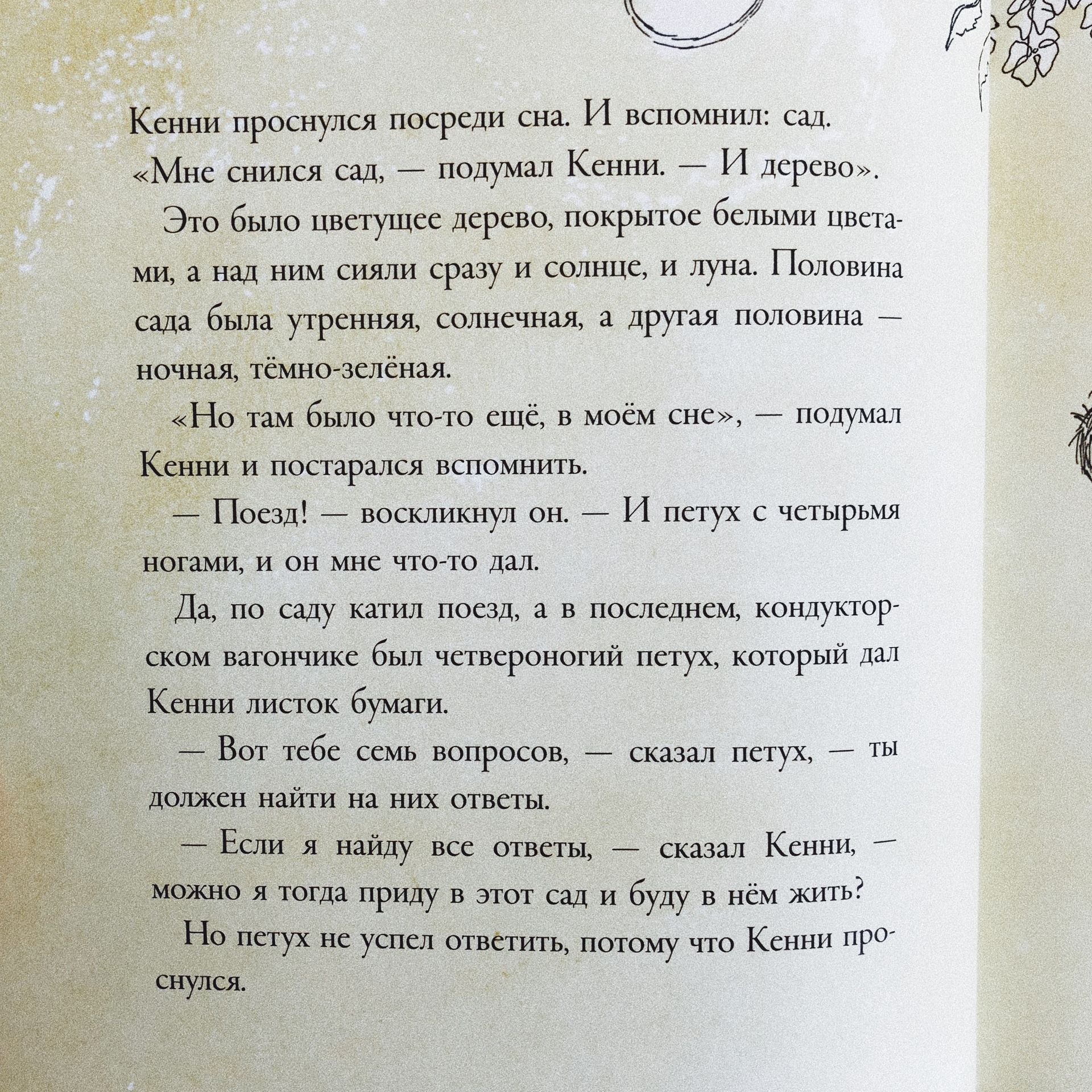 Кенни и его окно - Vilki Books