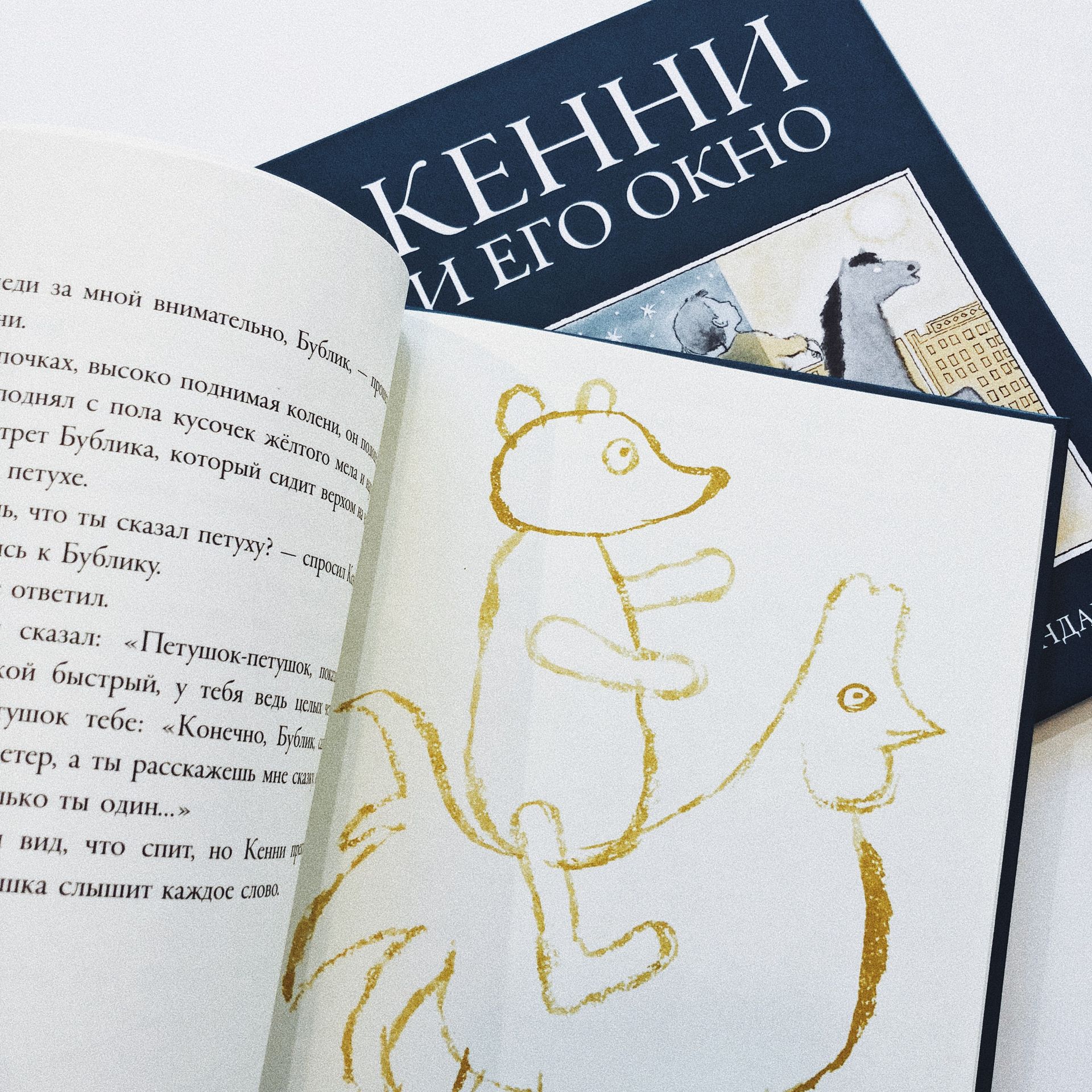 Кенни и его окно - Vilki Books