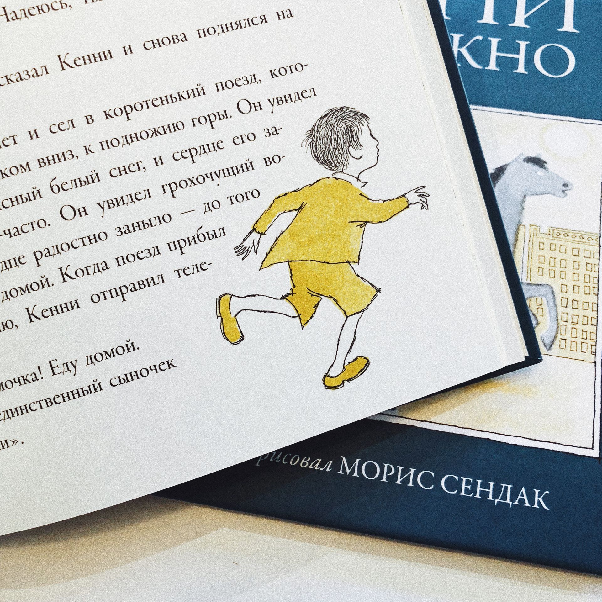 Кенни и его окно - Vilki Books