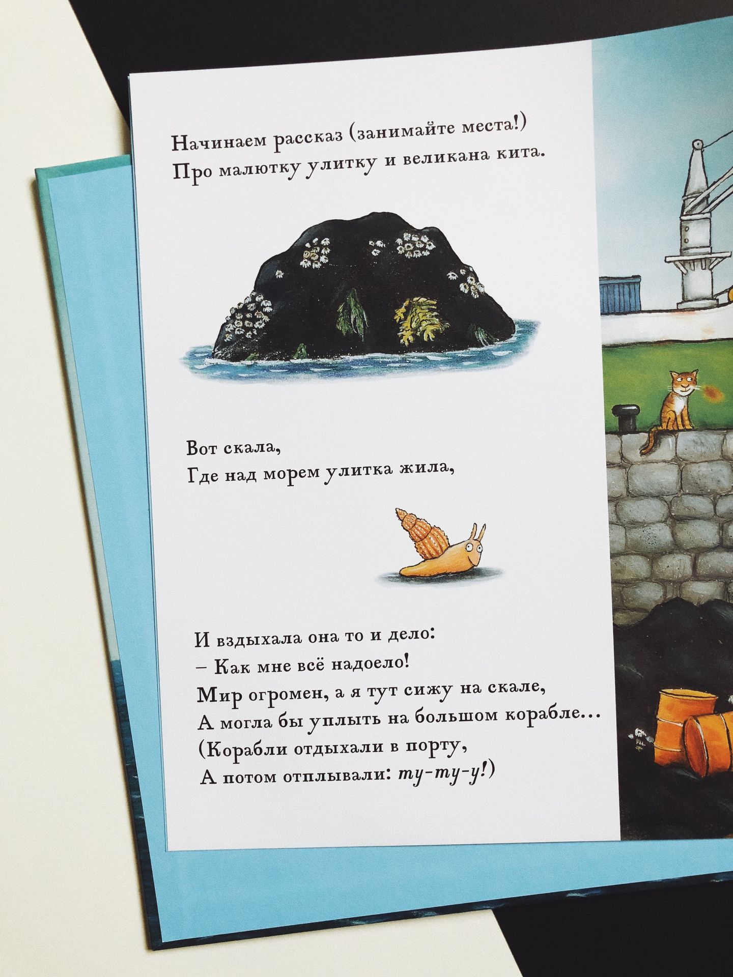 Улитка и кит - Vilki Books