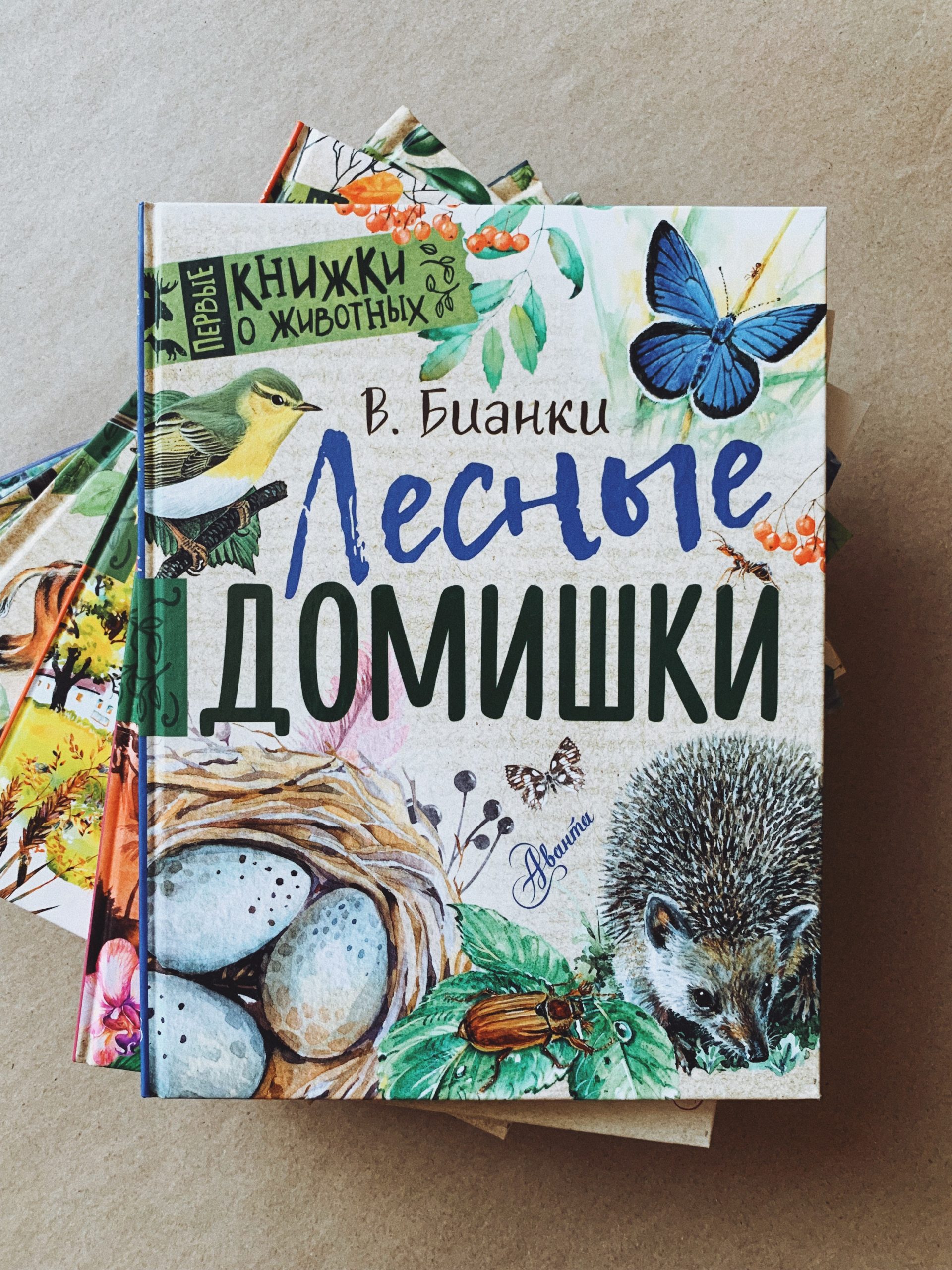 Лесные домишки - Vilki Books