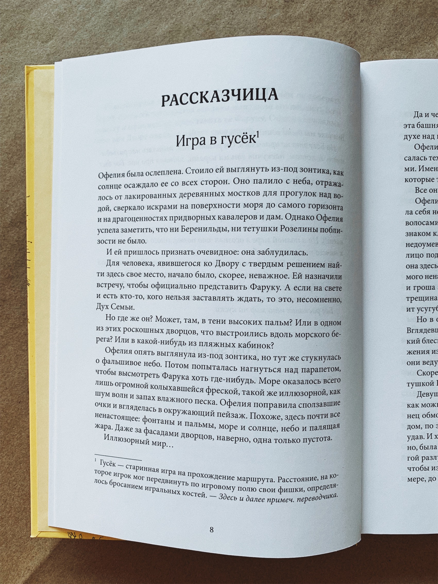 Сквозь зеркала. Книга 2. Тайны Полюса - Vilki Books