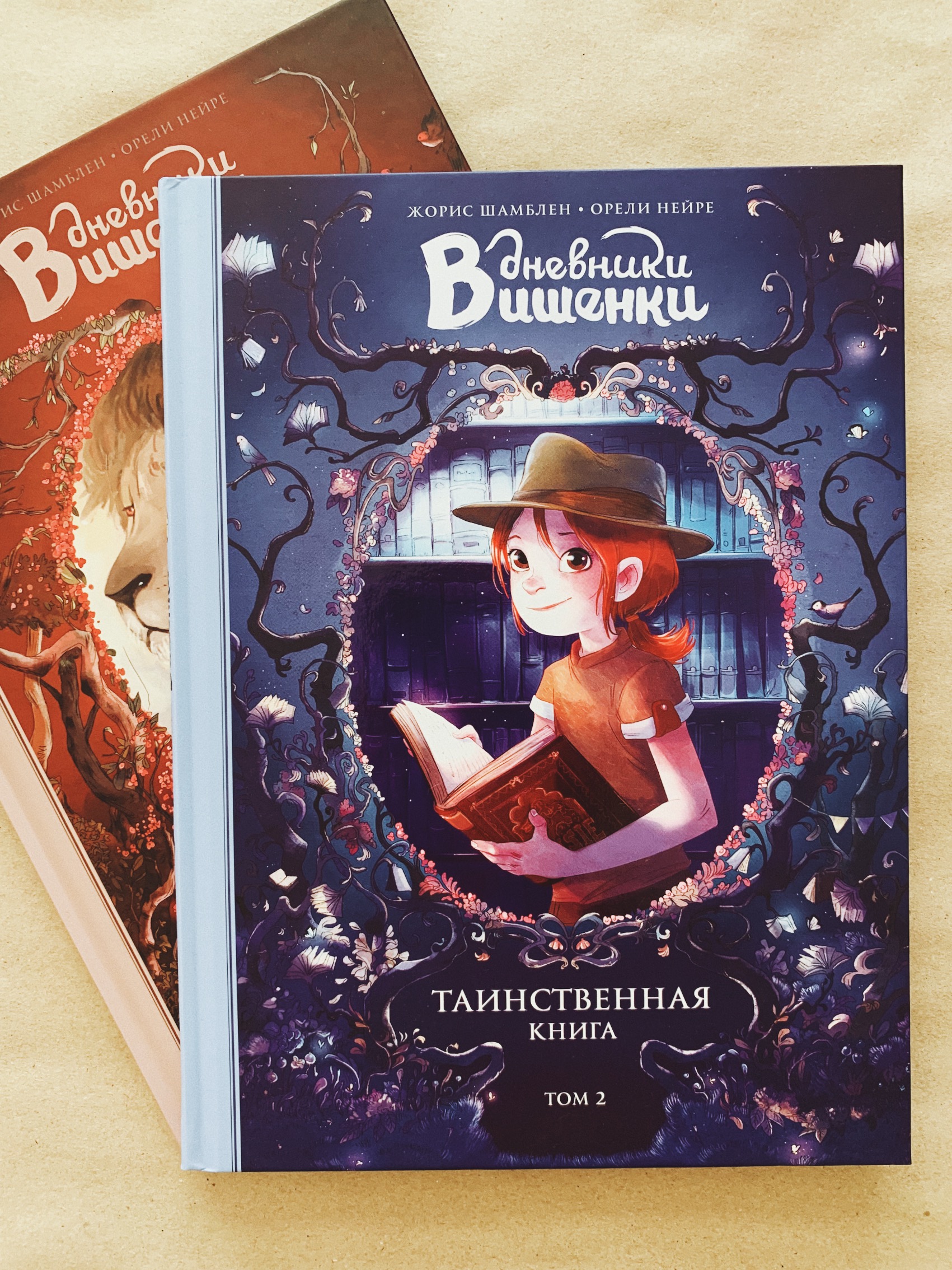 Дневники Вишенки. Том 2. Таинственная книга - Vilki Books