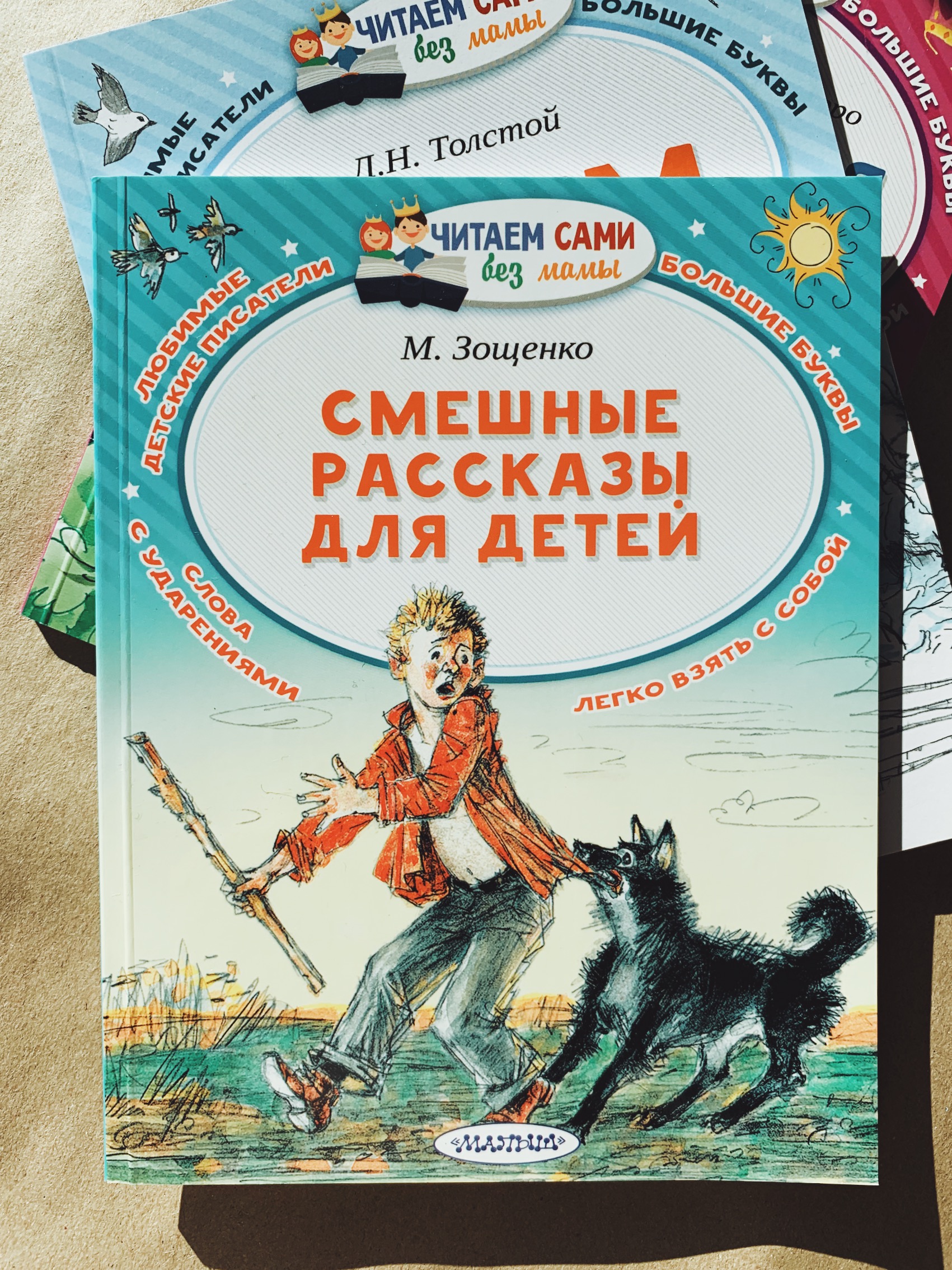 Смешные рассказы для детей - Vilki Books