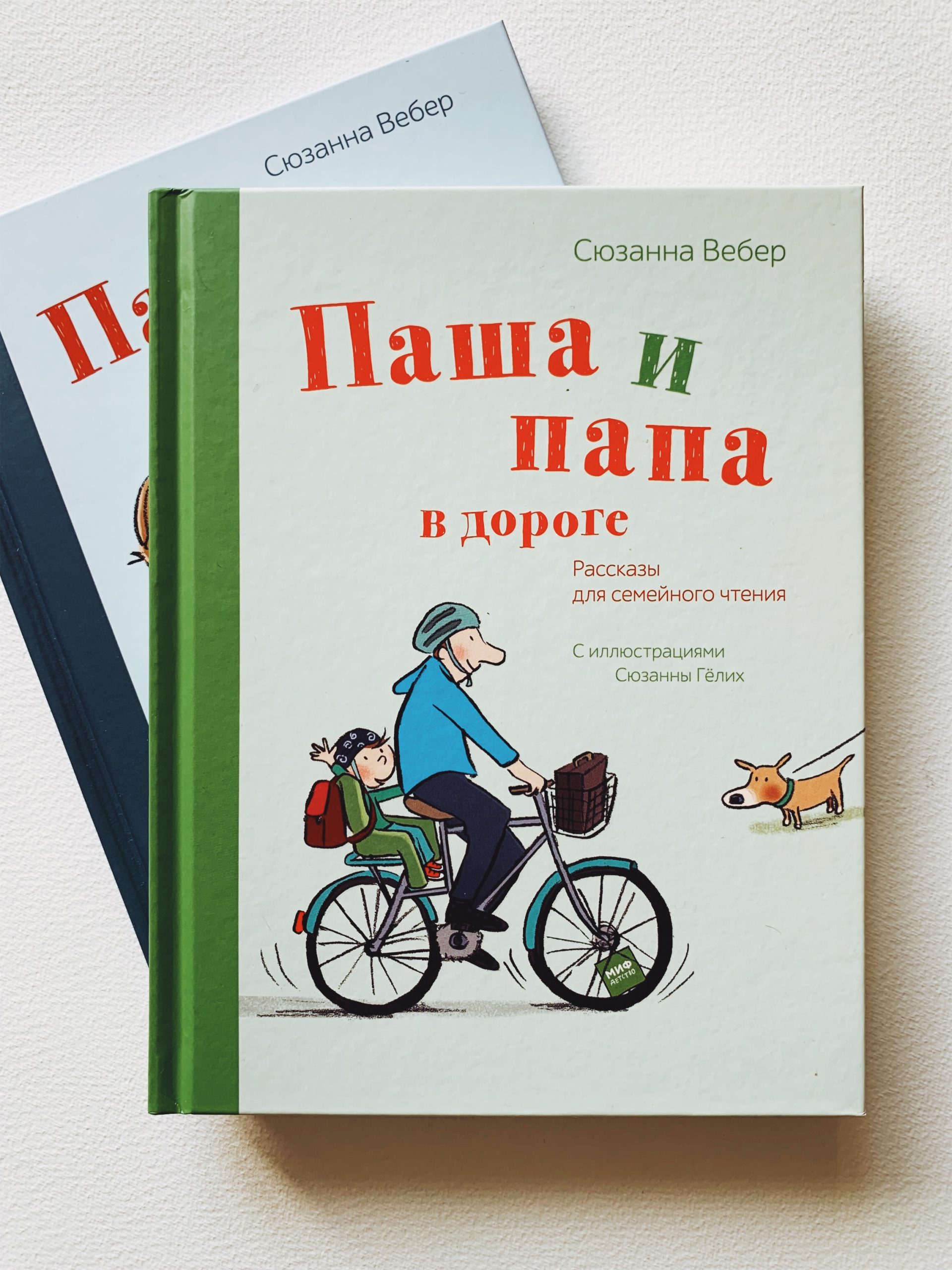 Паша и папа в дороге. Рассказы для семейного чтения - Vilki Books