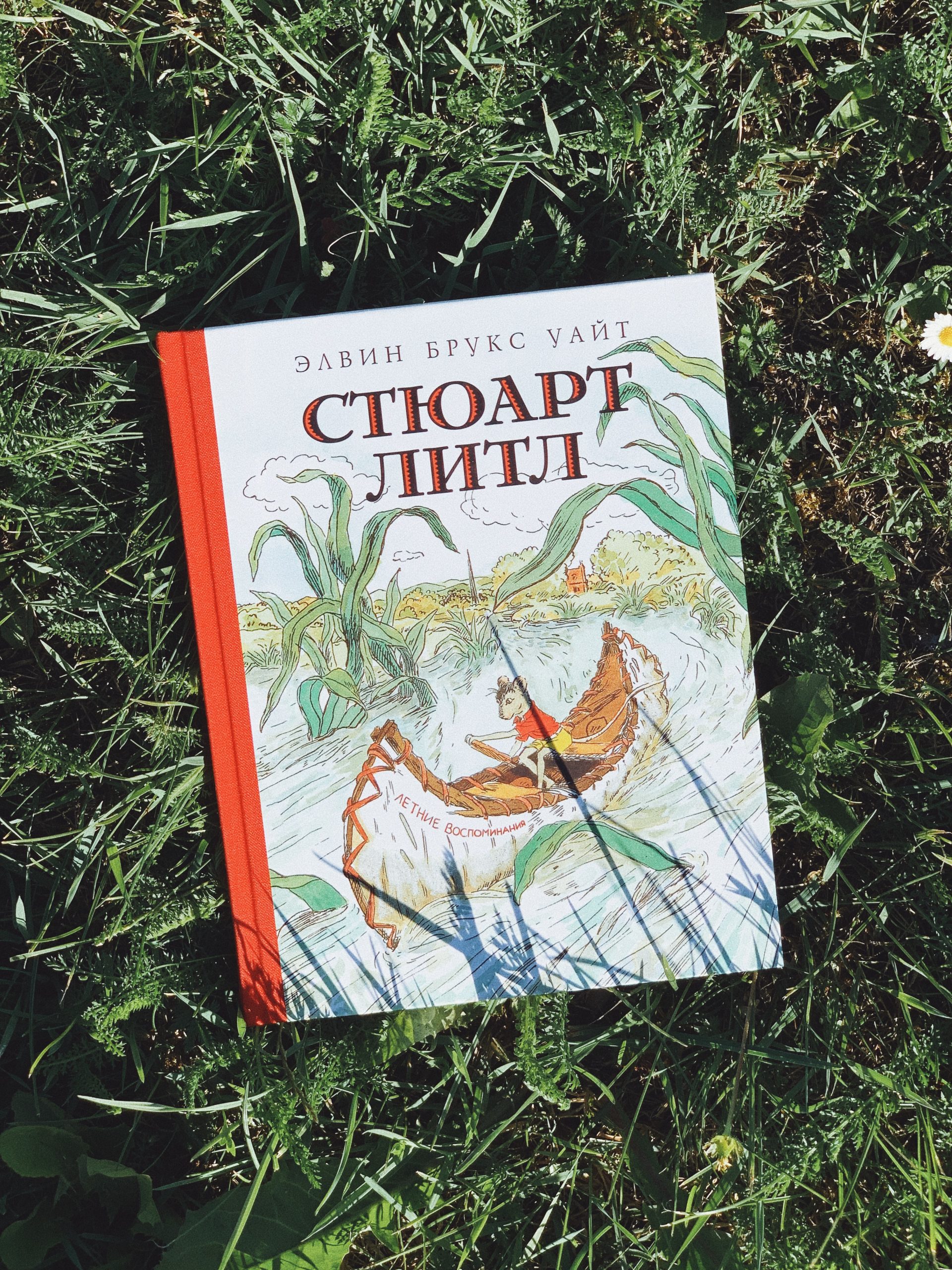 Стюарт Литл - Vilki Books