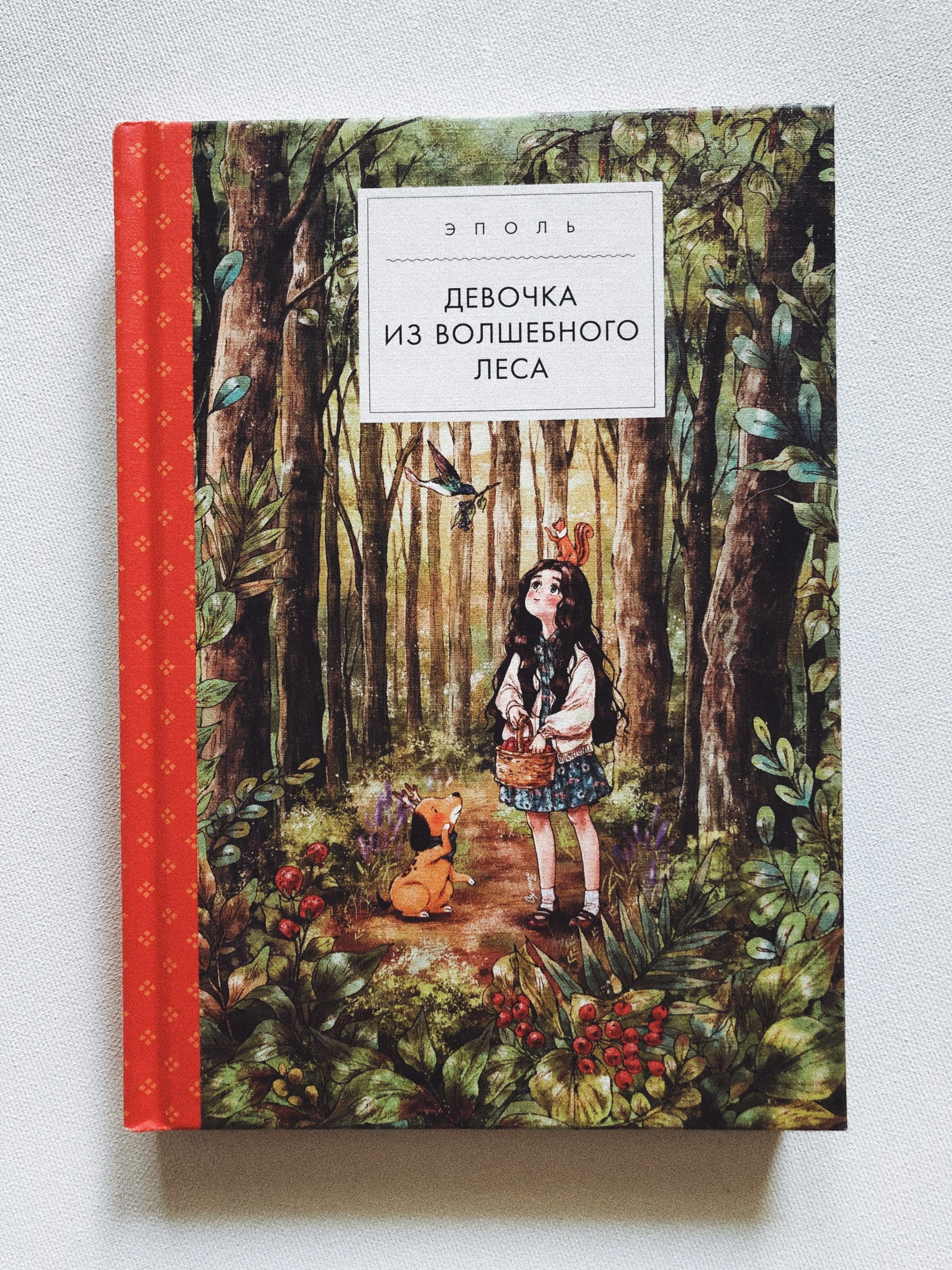 Книга лес. Эполь девочка из волшебного. Книга девочка из волшебного леса. Девушки из волшебного леса книга. Волшебный лес книга.