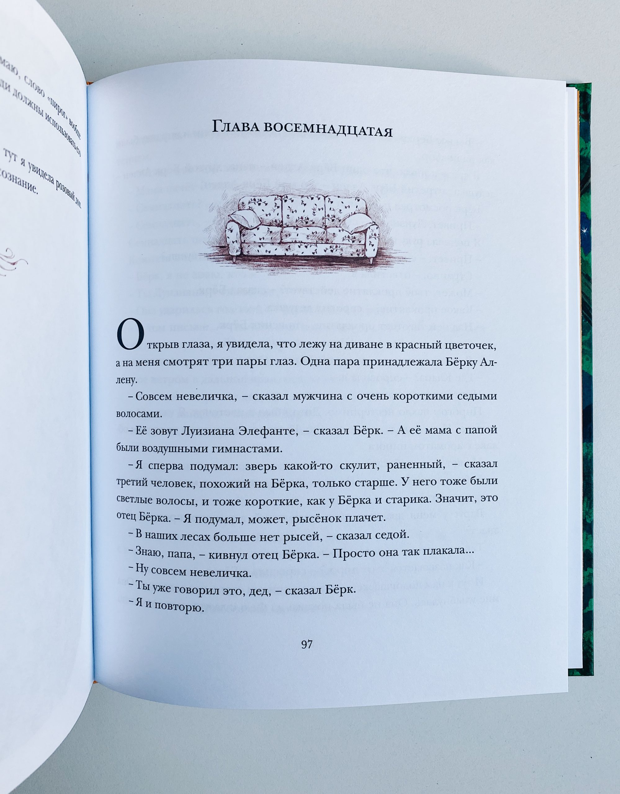 Луизиана находит дом - Vilki Books