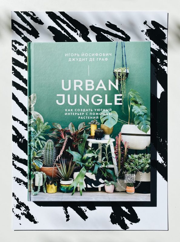 Urban jungle как создать уютный интерьер с помощью растений