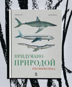 Придумано природой: биомиметика