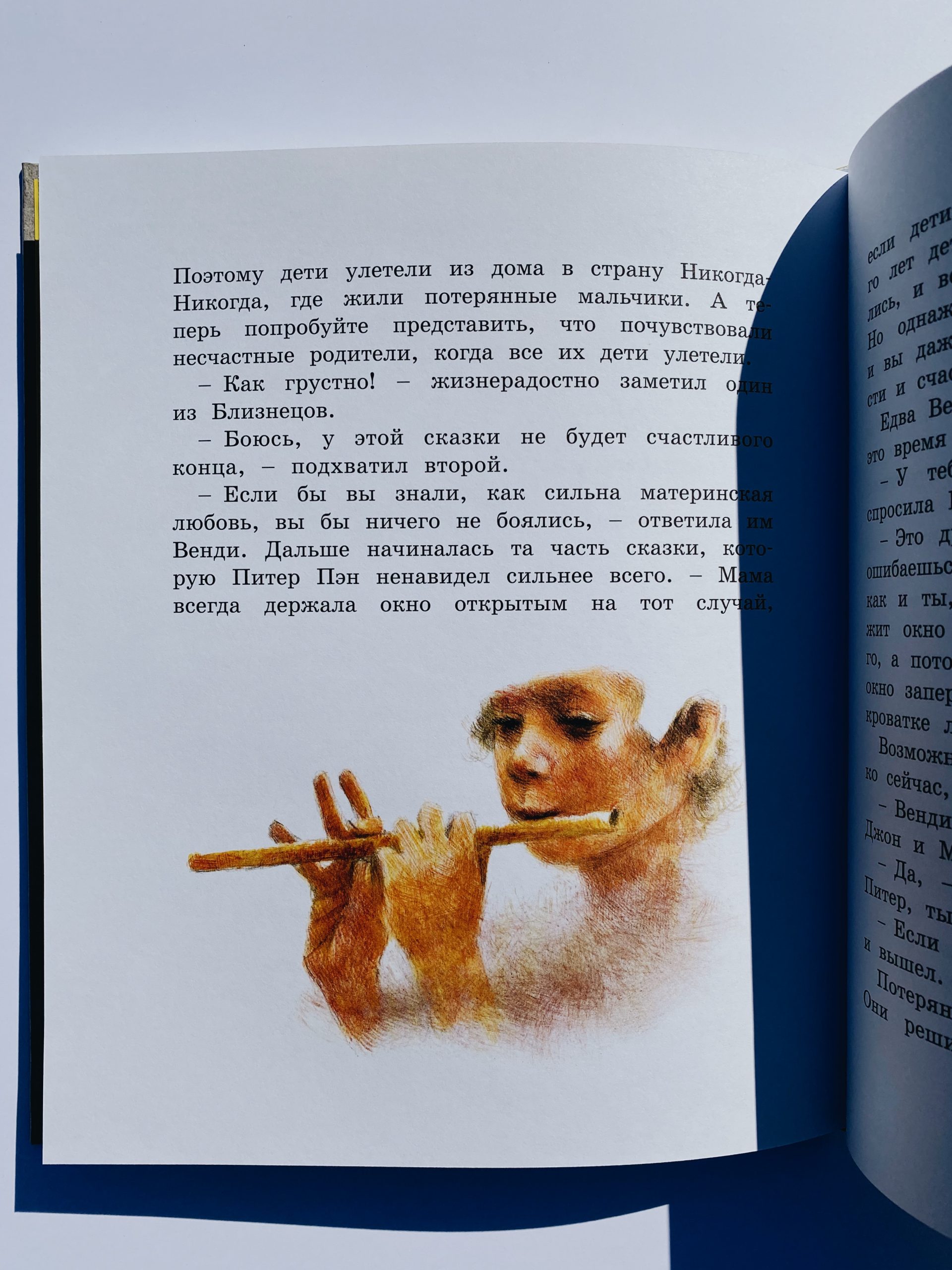 Питер Пэн и Венди (адаптированная история) - Vilki Books