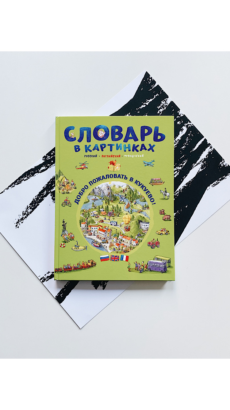 Словарь в картинках. Добро пожаловать в Кукуево! - Vilki Books