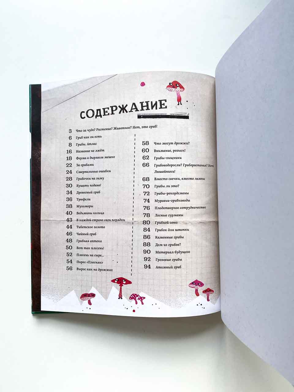 Грибы: удивительные и малоизвестные факты из жизни грибов - Vilki Books