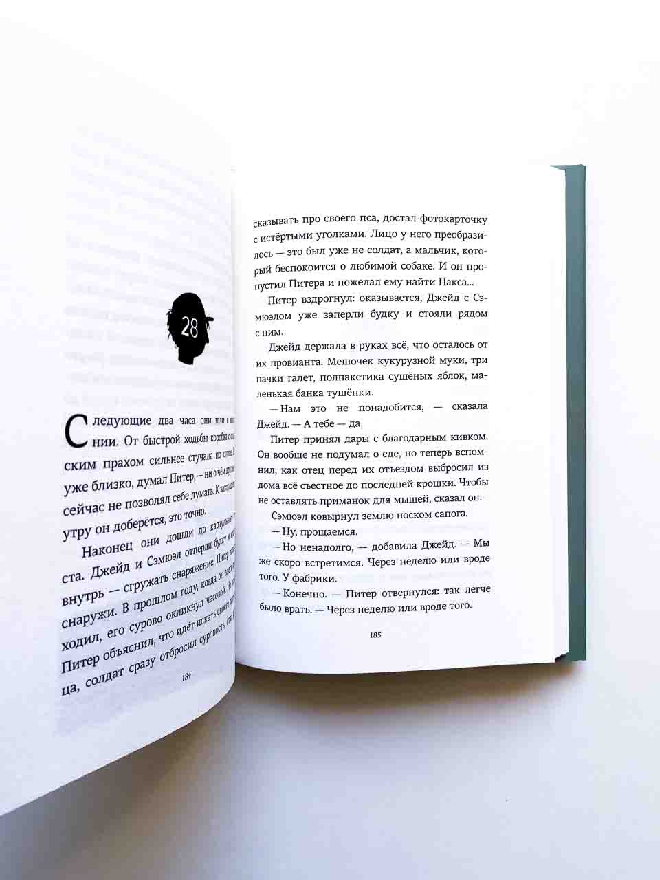 Пакс. Дорога домой - Vilki Books