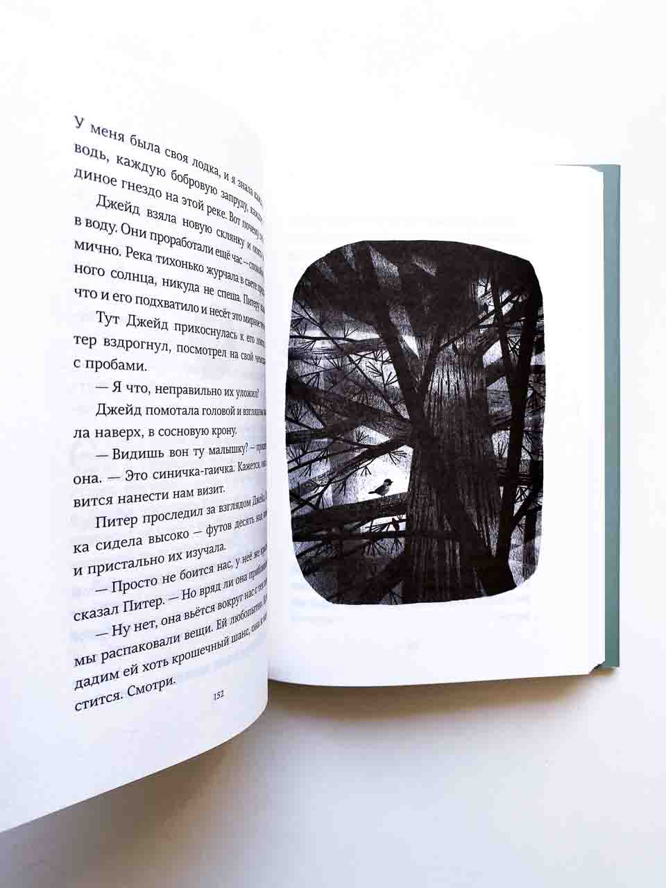 Пакс. Дорога домой - Vilki Books