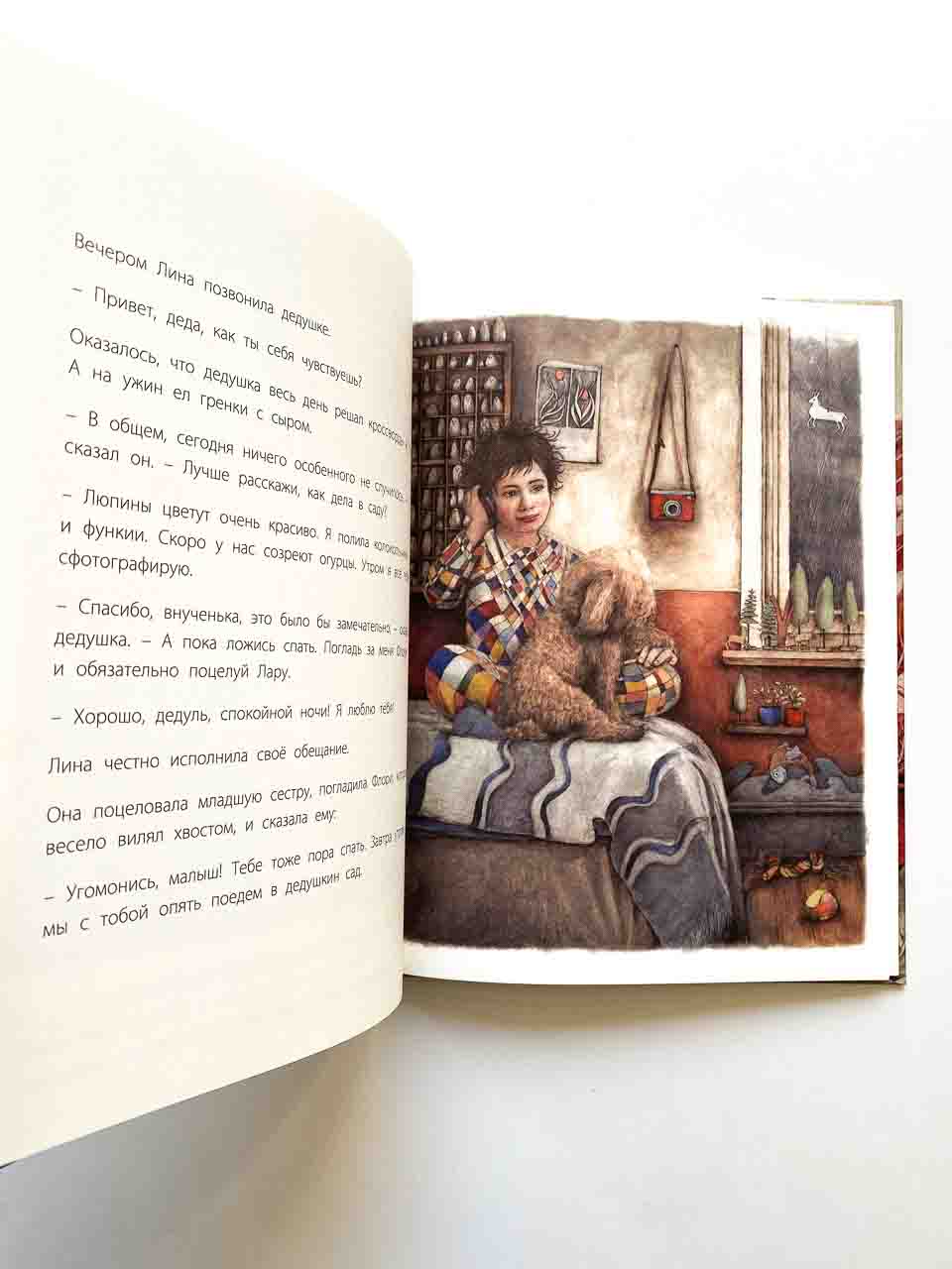 Дедушкин сад - Vilki Books