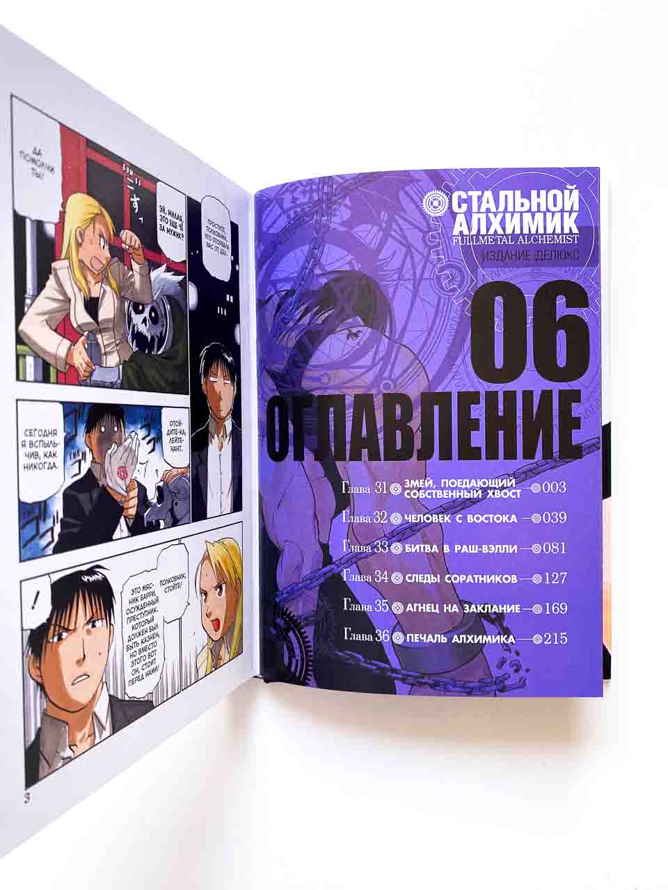 Стальной Алхимик. Книга 6 - Vilki Books