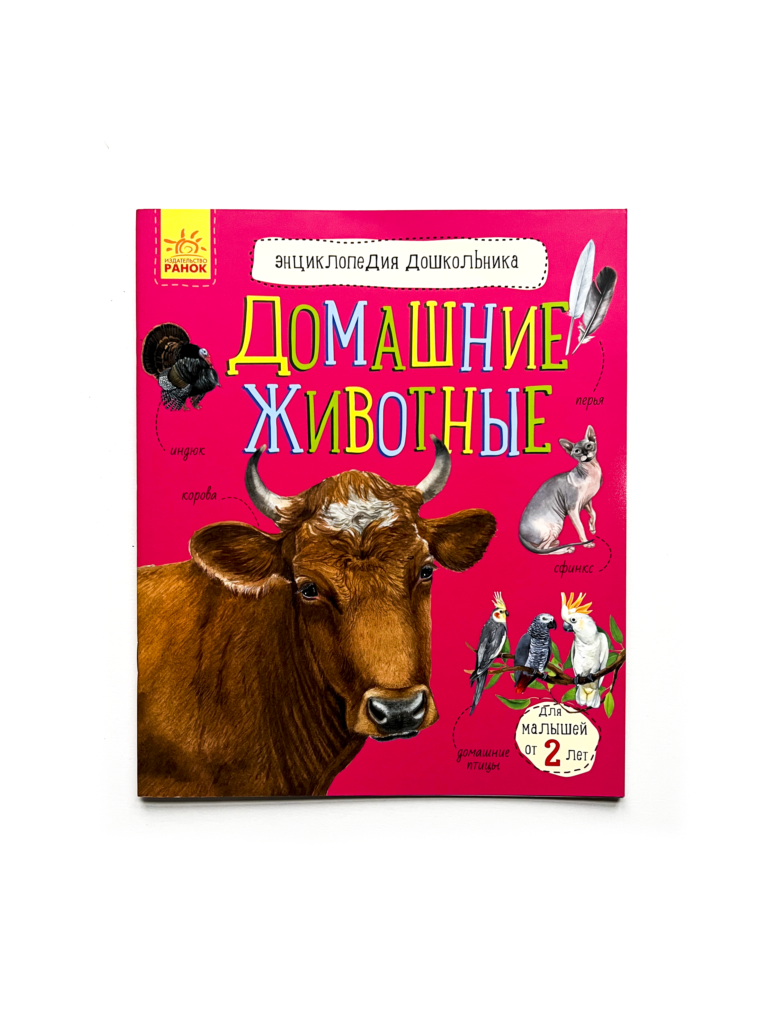 Домашние животные. Энциклопедия дошкольника - Vilki Books