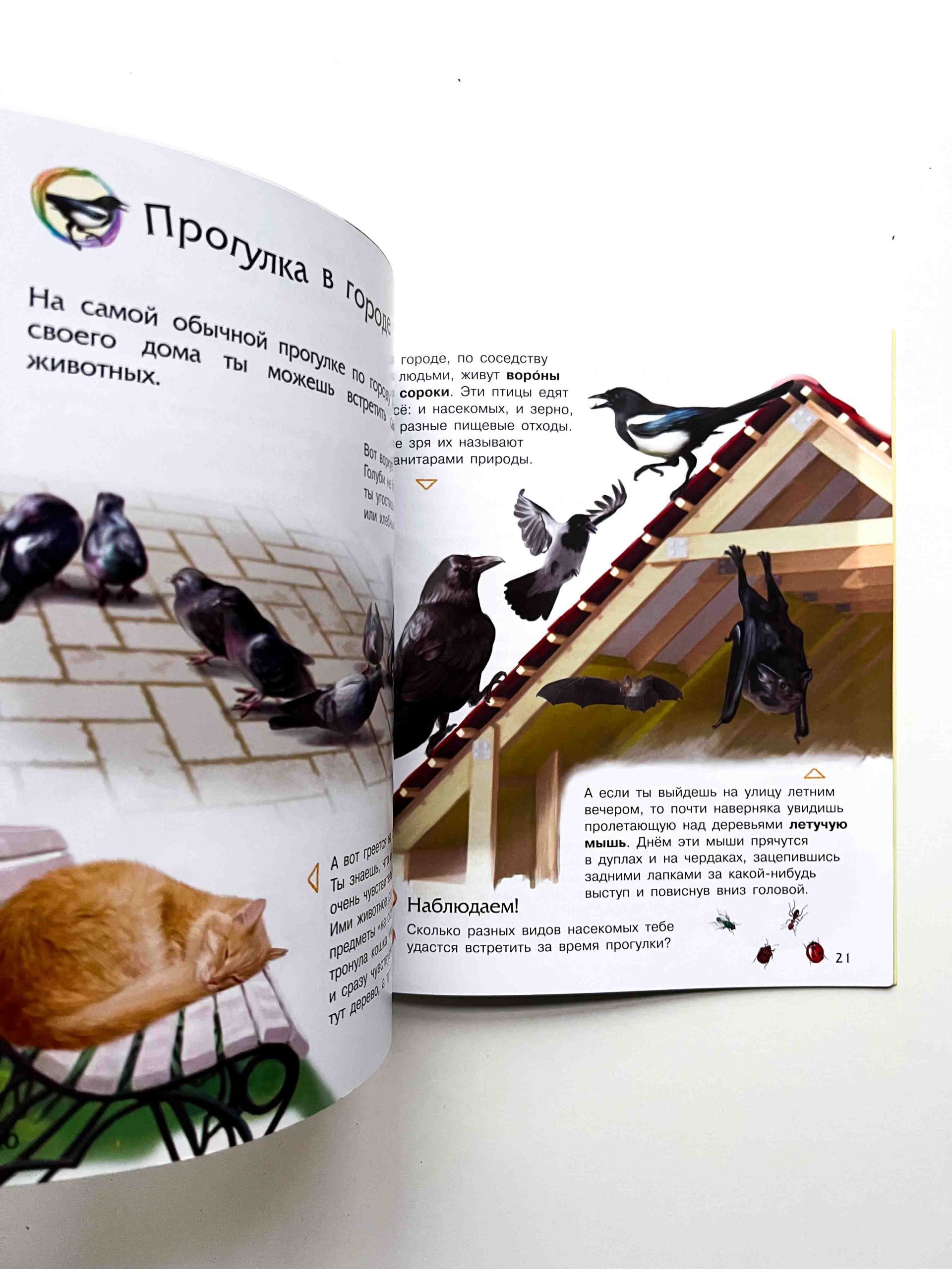 Природа. Энциклопедия дошкольника - Vilki Books