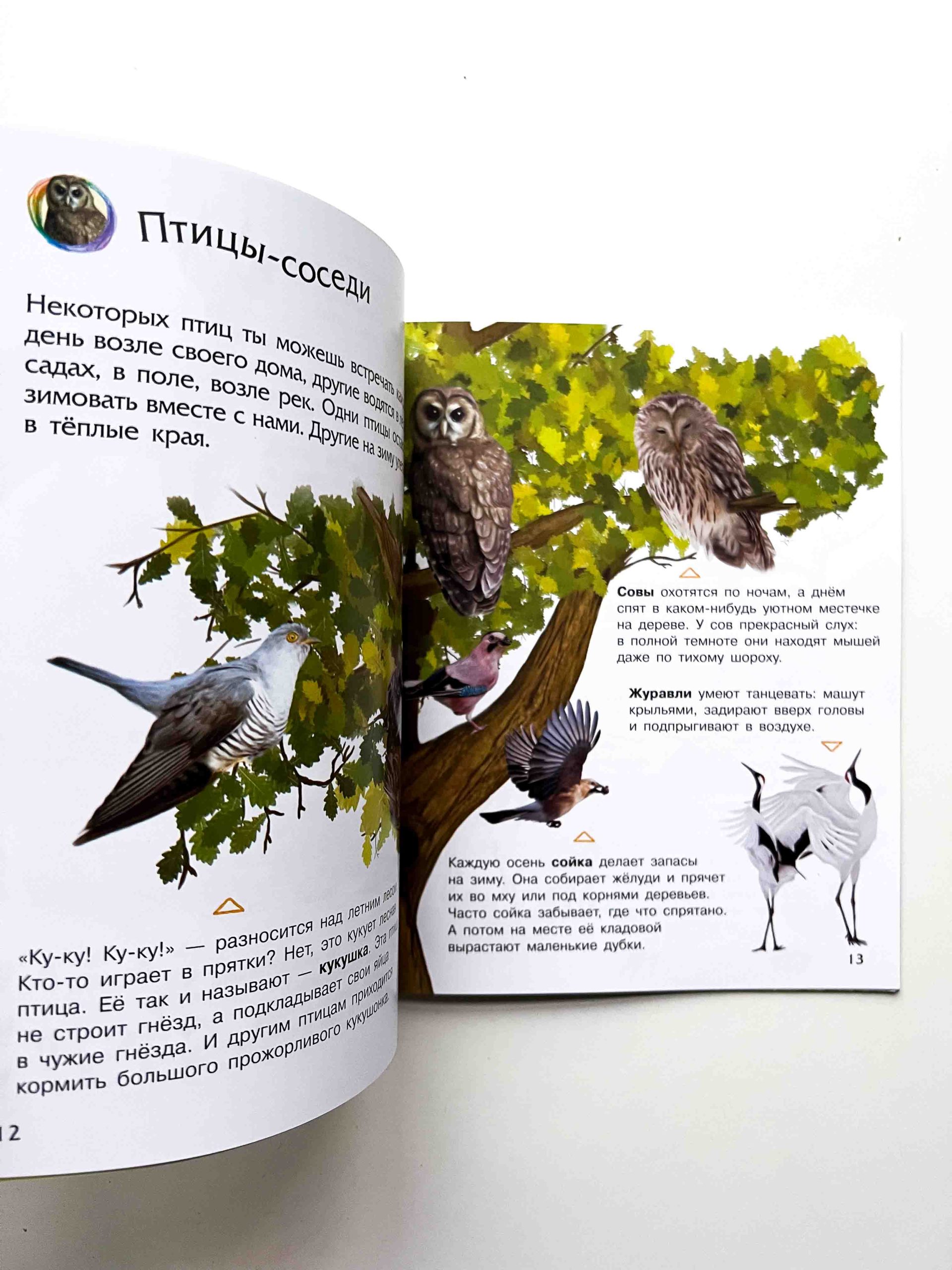 Природа. Энциклопедия дошкольника - Vilki Books