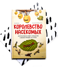 Королевство насекомых. Интерактивная книга с окошками о жизни муравьев, ос и пчел