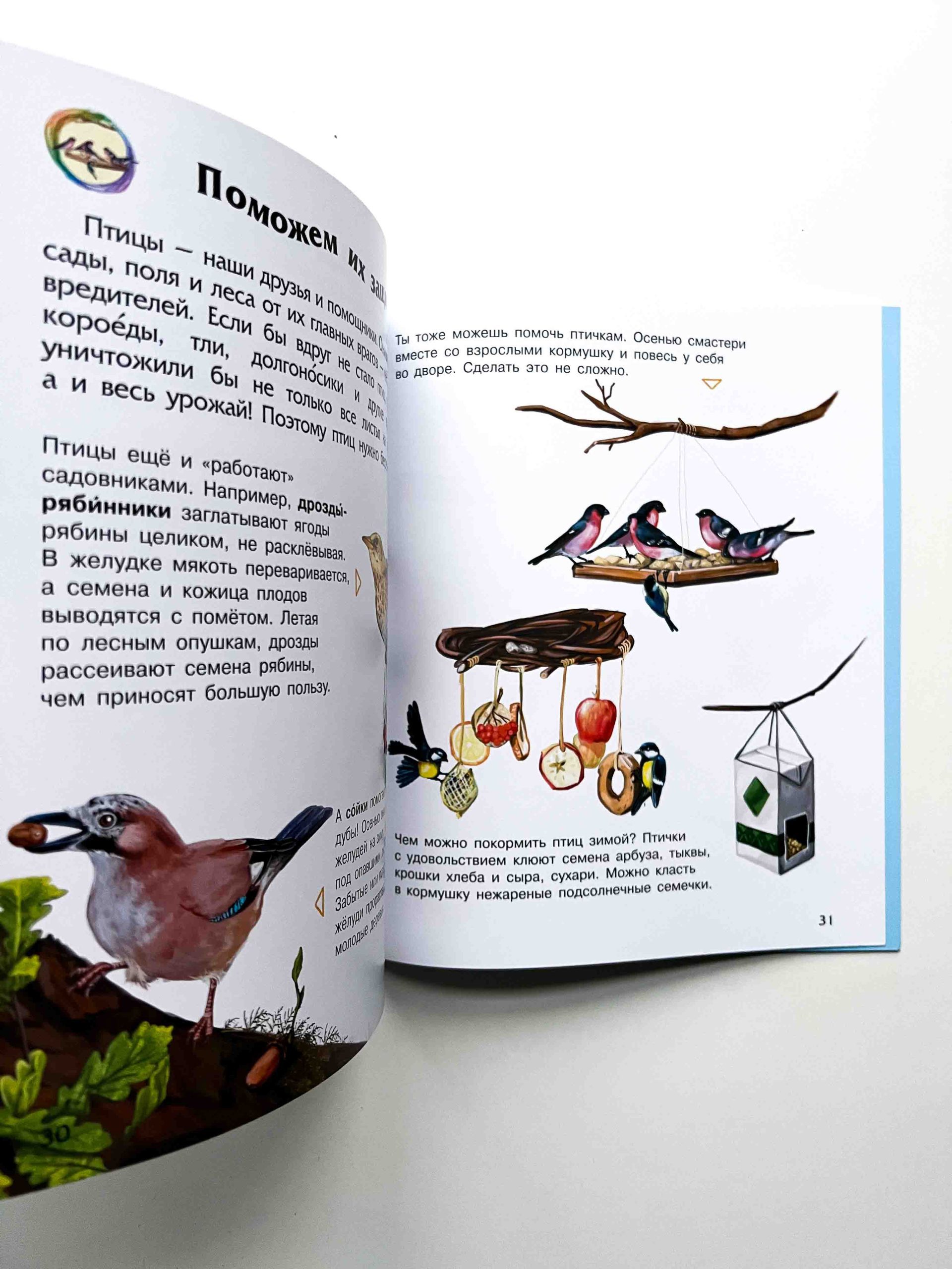 Энциклопедия птиц России для детей. Книги для малышей
