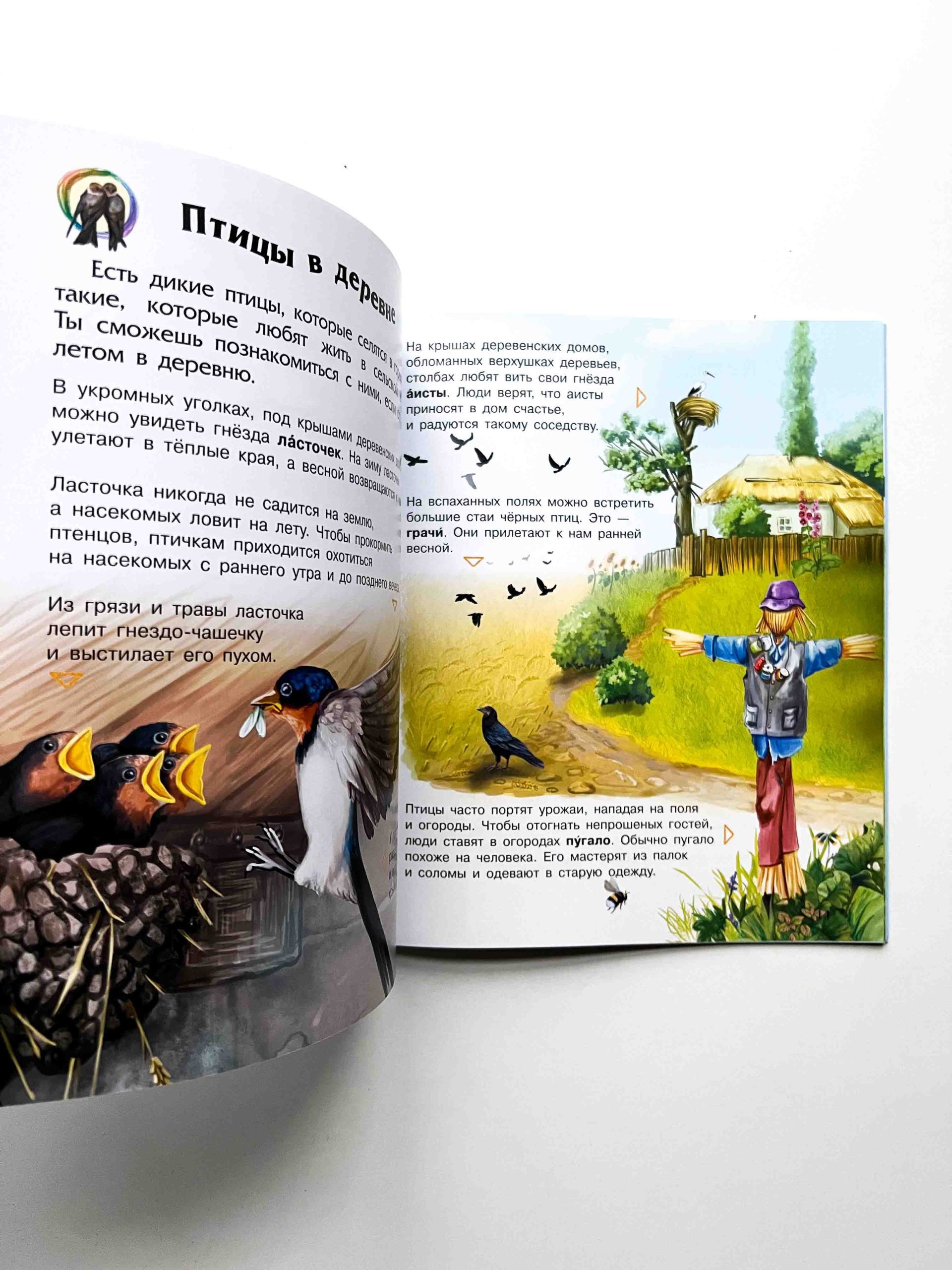 Птицы. Энциклопедия дошкольника - Vilki Books