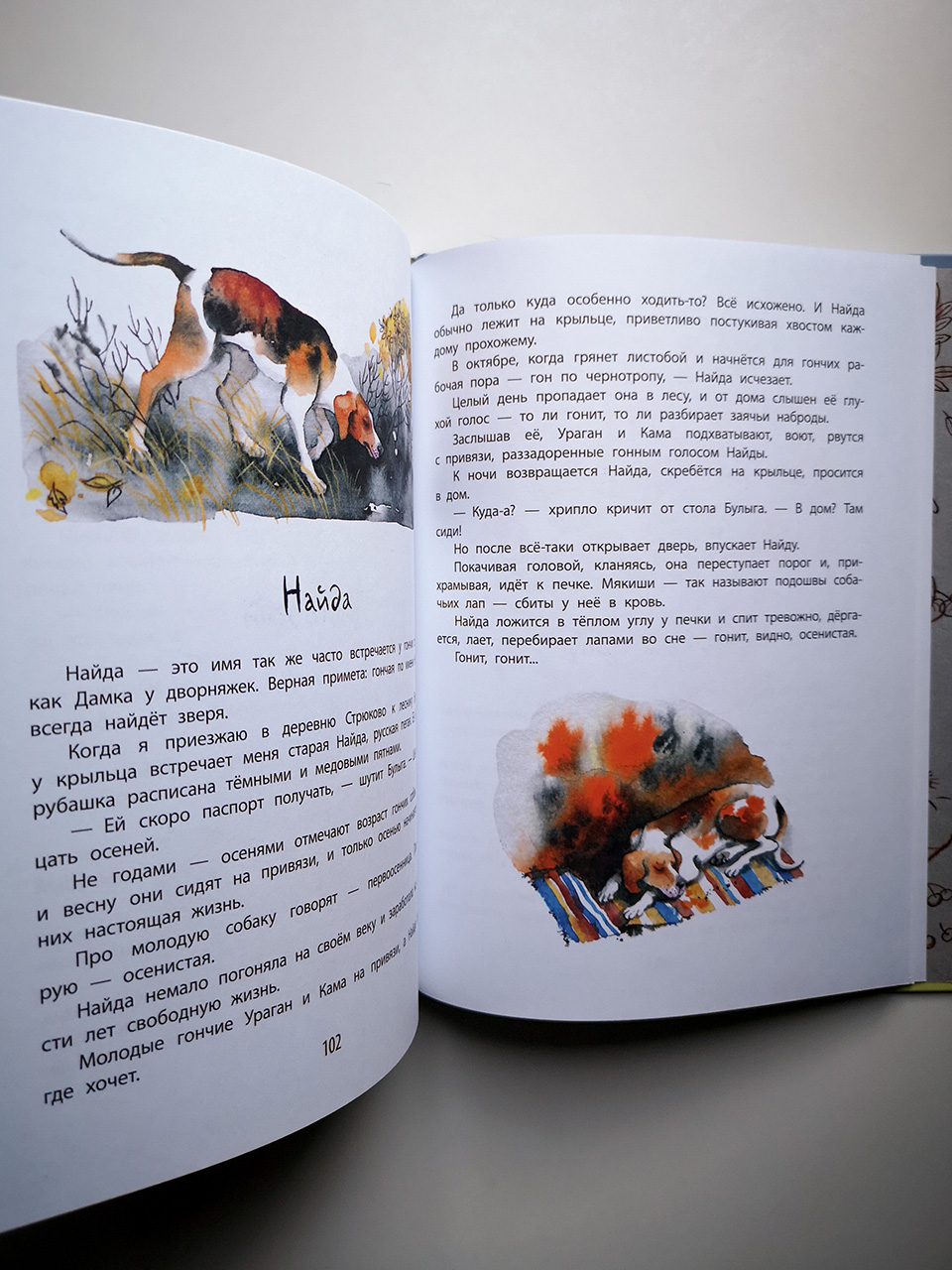 Листобой. Рассказы - Vilki Books