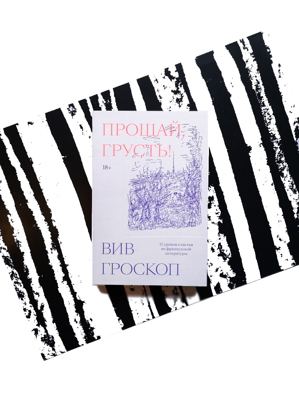 Прощай, грусть. 12 уроков счастья из французской литературы - Vilki Books