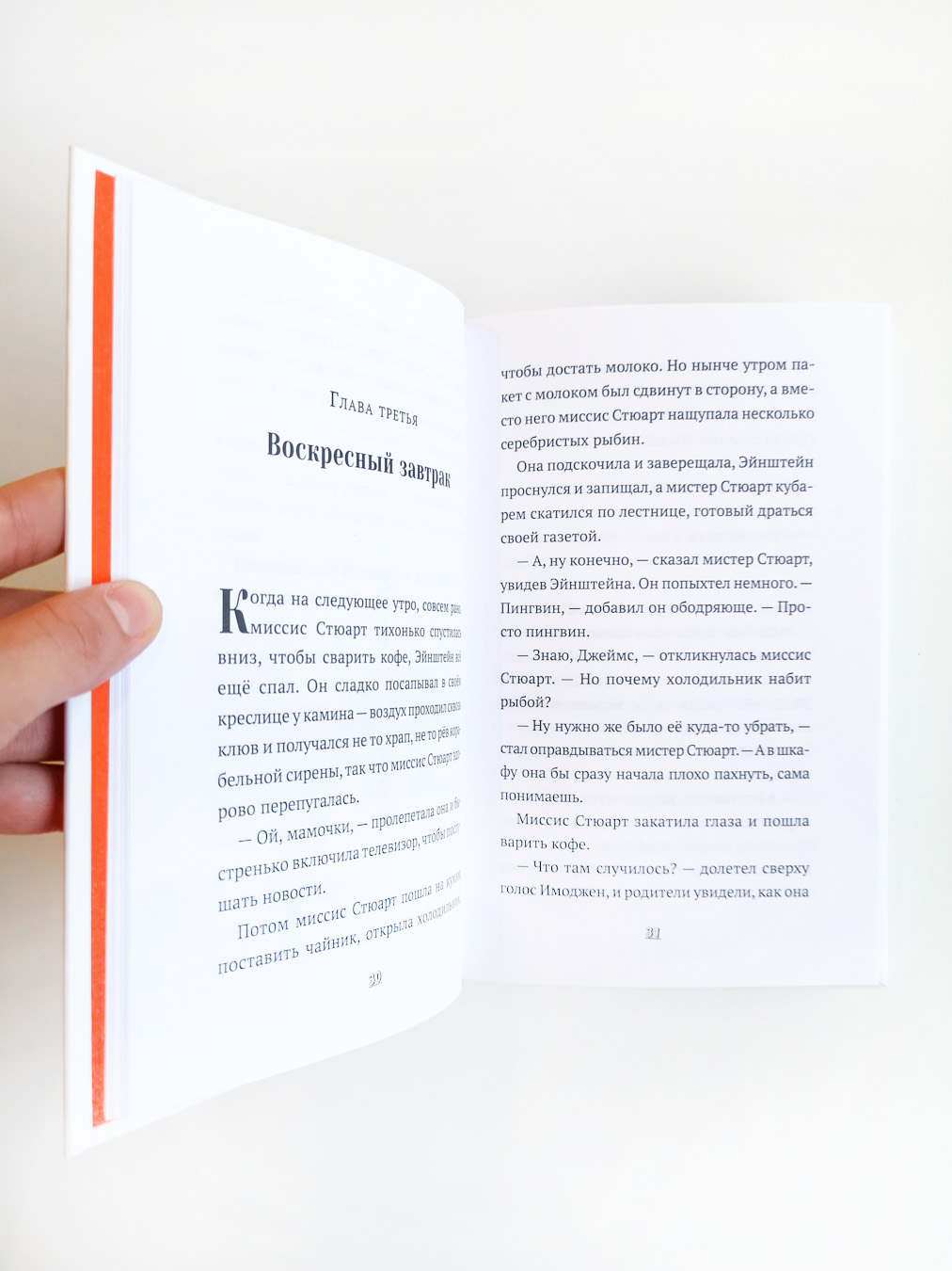 Пингвин по имени Эйнштейн - Vilki Books