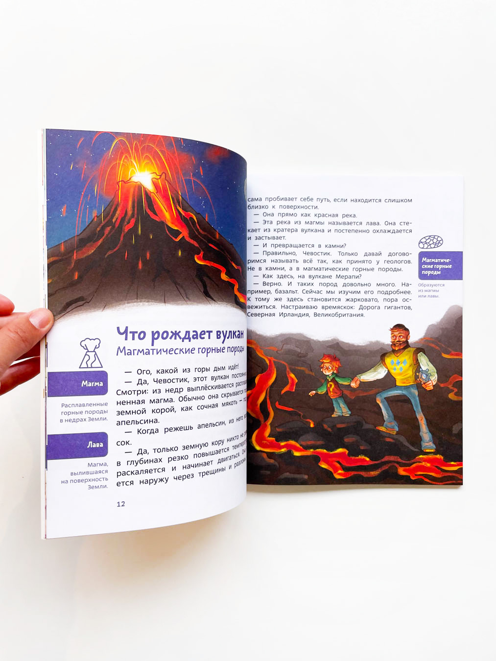 Камни, минералы и металлы - Vilki Books